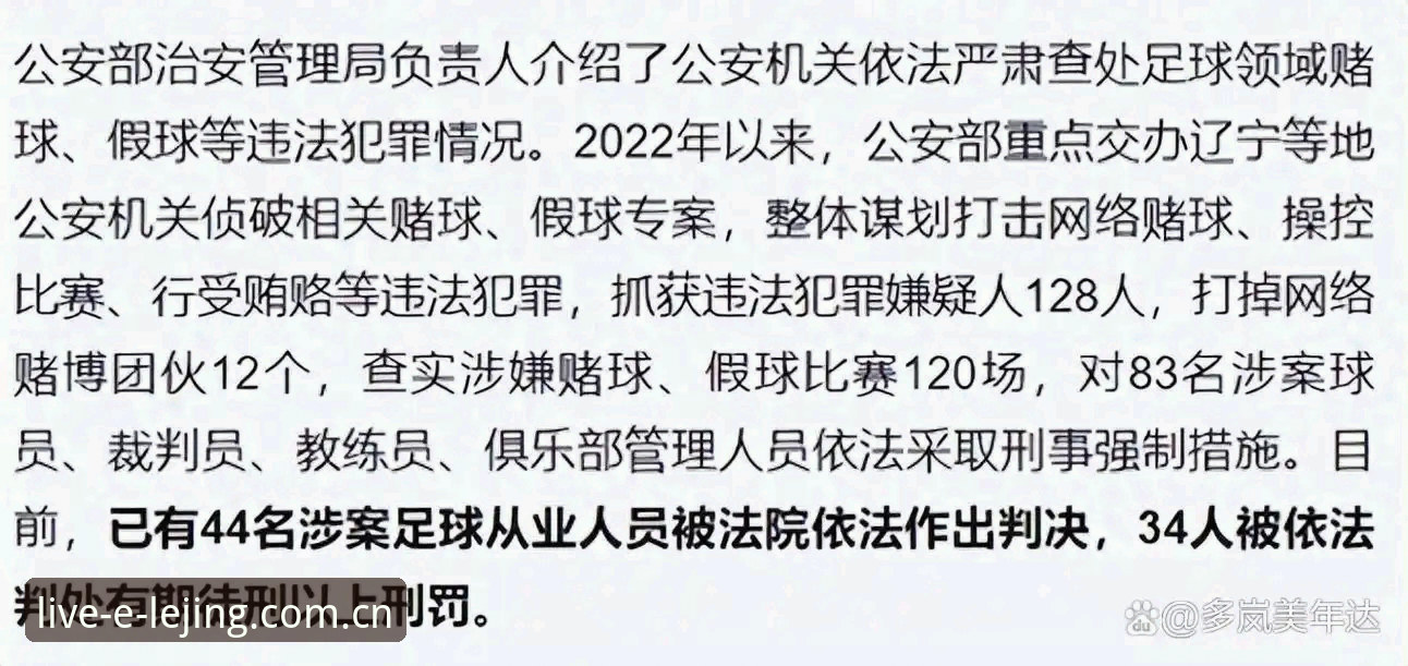 处理足球腐败案必知的实用指南：从足协禁足名单看行业整顿关键