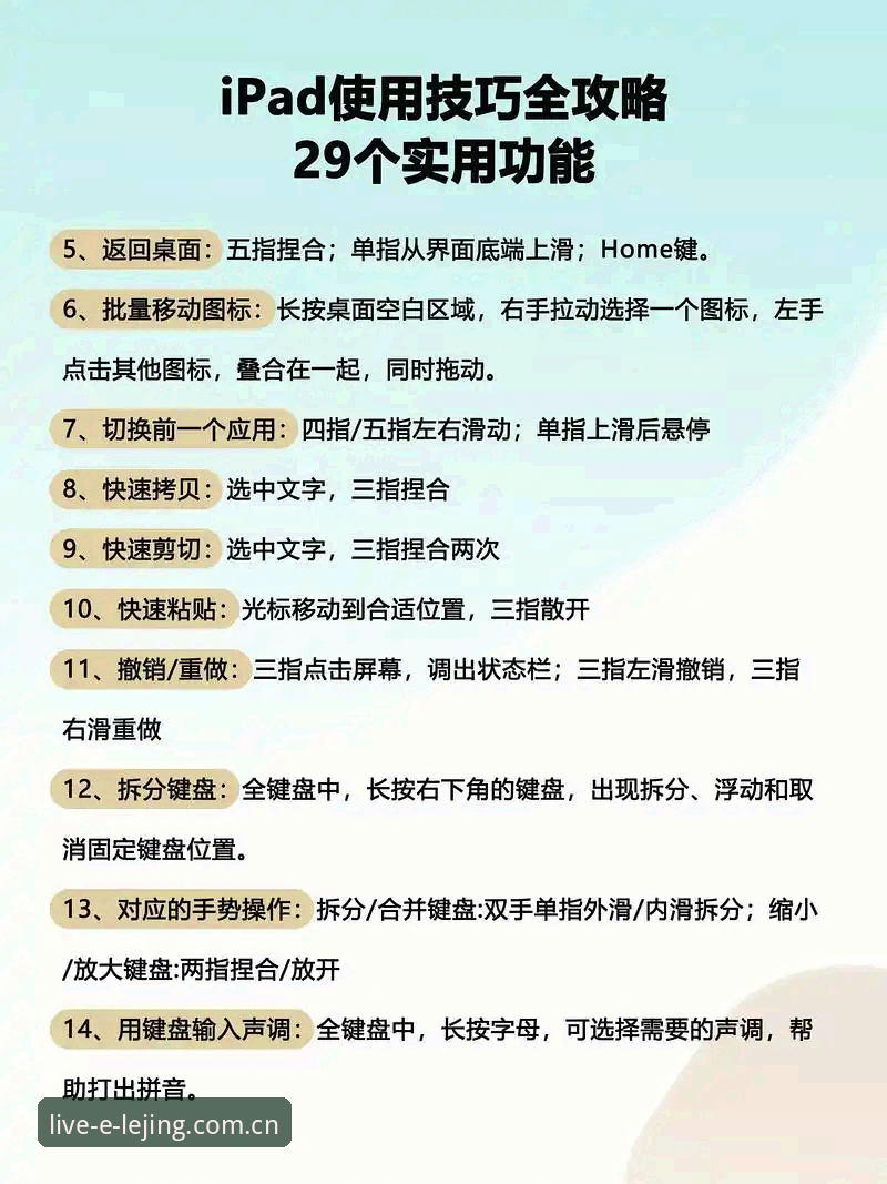 乐竞互动体验教程详解：从下载到实战的全流程指南